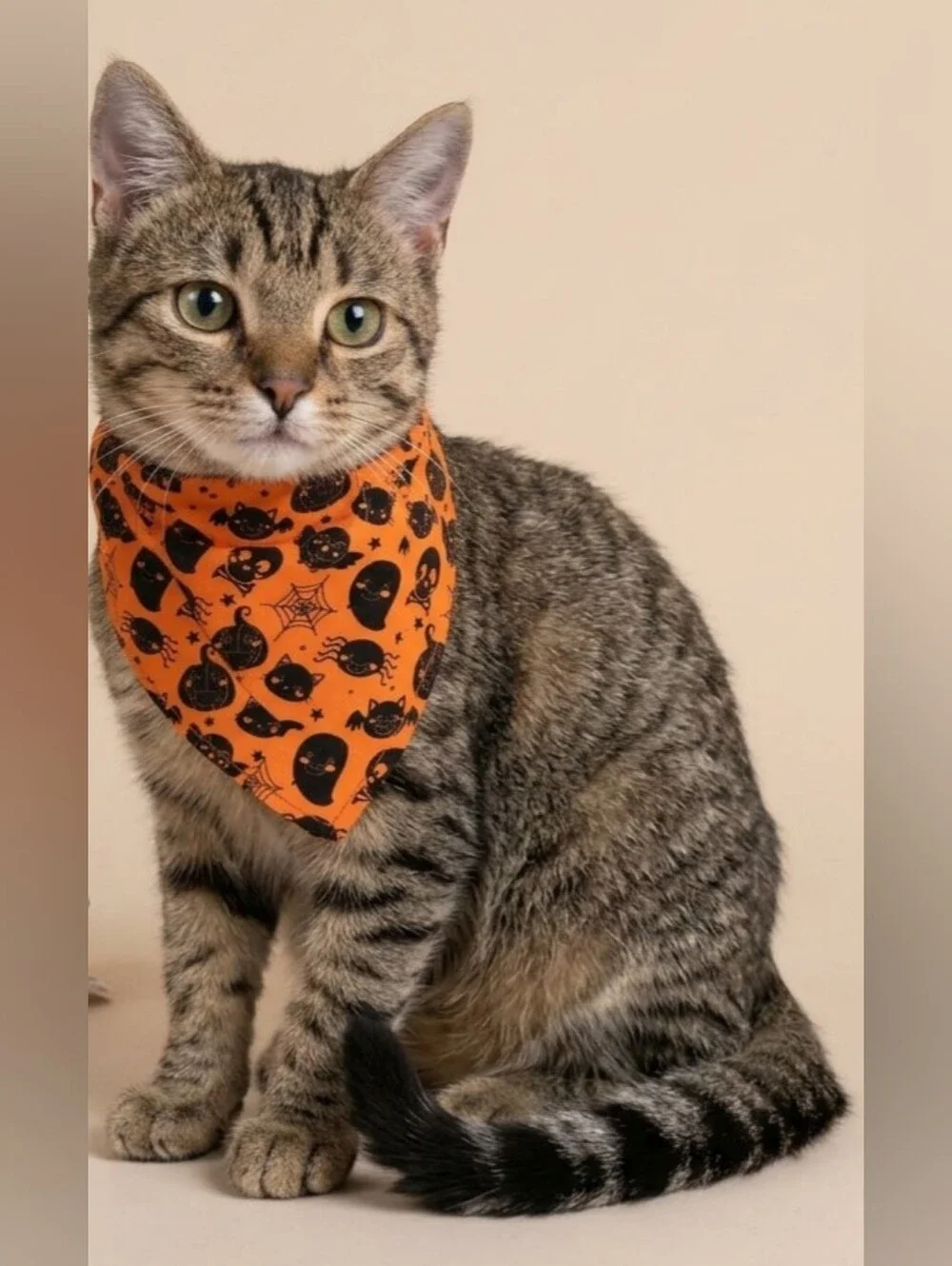 Handmade Spooky Orange Halloween Pet Bandana - Fits Cats, Small/Medium Dogs